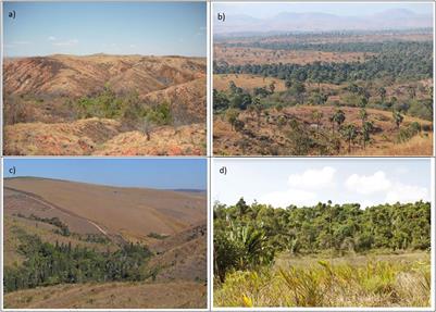 The role of palaeoecology in reconciling biodiversity conservation, livelihoods and carbon storage in Madagascar